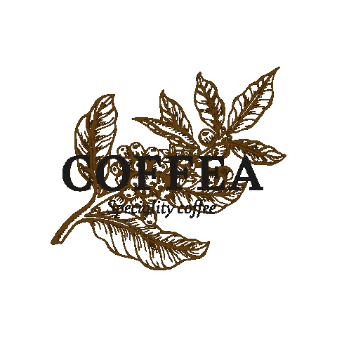 Coffea Sticker