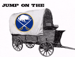 Buffalo Sabres Nhl GIF