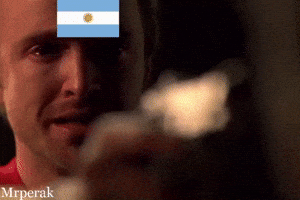 World Cup Fan GIF