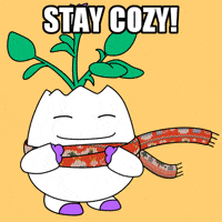 Freezing Sweater Weather GIF by Magic Eden