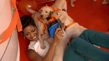 Adorable Puppies animated GIF