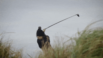 Swinging St Andrews GIF by Northwestern Athletics