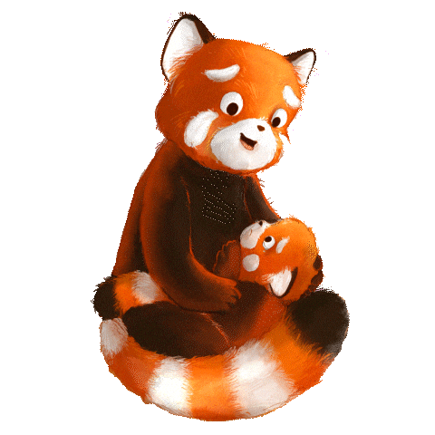 Panda Sticker by Carlsen Kinderbuch