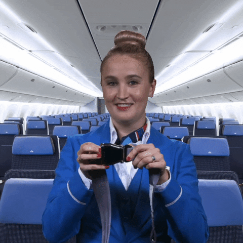 Click Klm Royal Dutch Airlines GIF by KLM - Find & Share on GIPHY