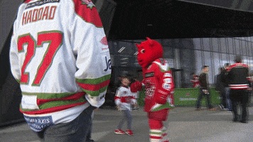 ice hockey mascot GIF by Cardiff Devils