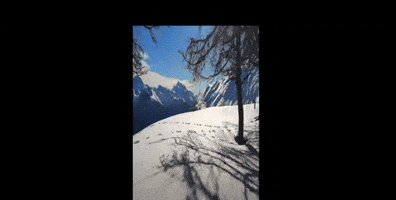 Snow GIF