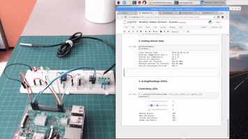 Python Raspberry GIF