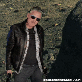 Fight GIF