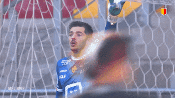 KV Mechelen GIF