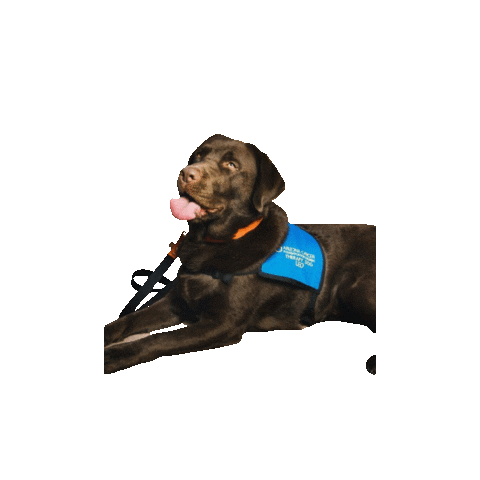 Az Cancer Foundation for Children Sticker