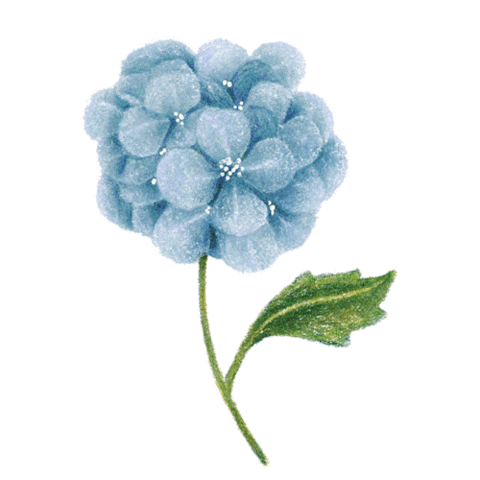 Flower Sticker