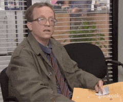 Season 9 No GIF by The Office