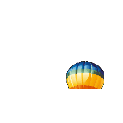 Tersteegeballonfestival Sticker by Ballonfestival Hardenberg