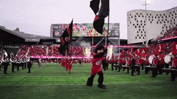 Football Cats GIF by Bearcat