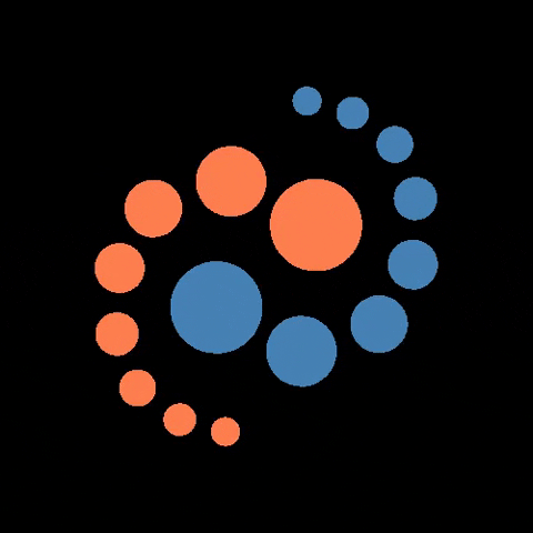 RISE Method GIF