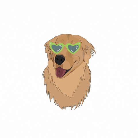 Good Morning GIF