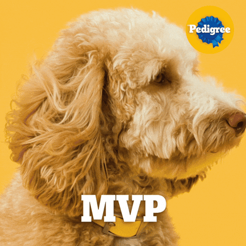 Dog Food GIF by PEDIGREE US