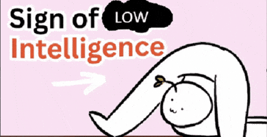 Low Intelligence GIF