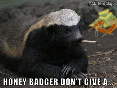 honey badger weed GIF