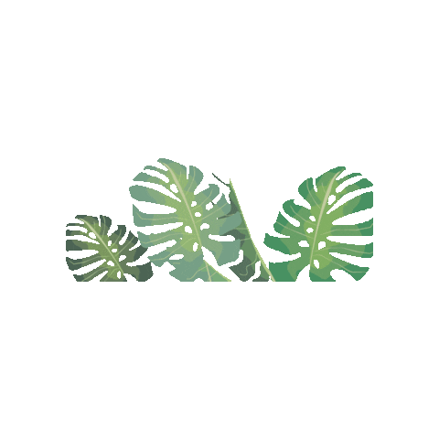 Animated Sticker