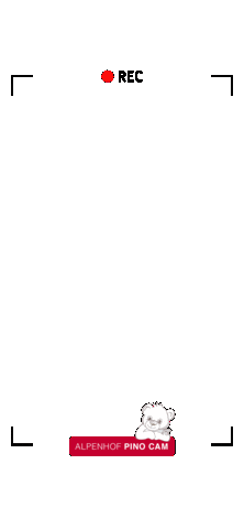 Pino Sticker by Hannes Niederkofler