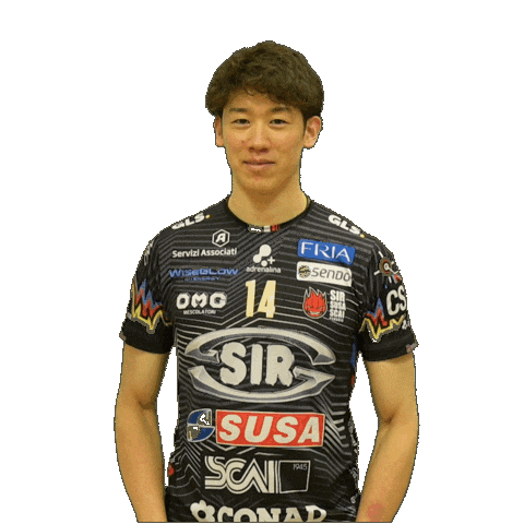 Japan Nippon Sticker by SIR Volley