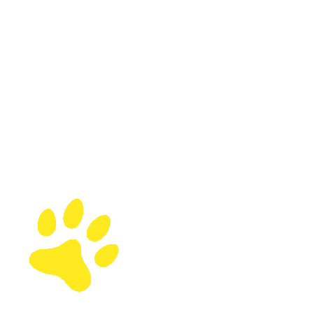 Paws Sticker by KUNKAY