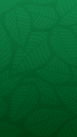 Green Leaf Background GIF by Chaparosa Roofing
