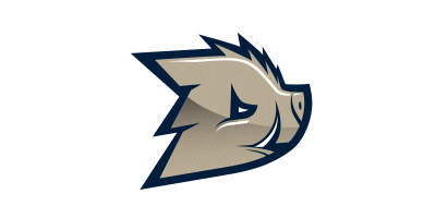 Dziki Warszawa Sticker