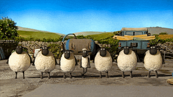 Irish GIF by Shaun the Sheep