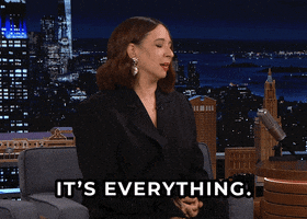 Tonight Show Everything GIF by The Tonight Show Starring Jimmy Fallon