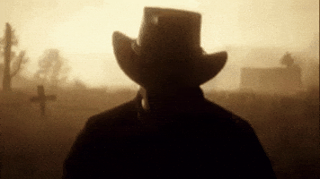 Red Dead Redemption Arthur GIF