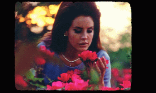 Lana Del Rey Flowers Find And Share On Giphy