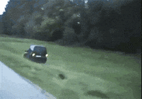 Comeback Flawless Victory GIF - Comeback Flawless victory Victory -  Discover & Share GIFs
