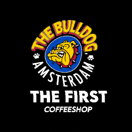 Thebulldog GIF by The Bulldog Amsterdam