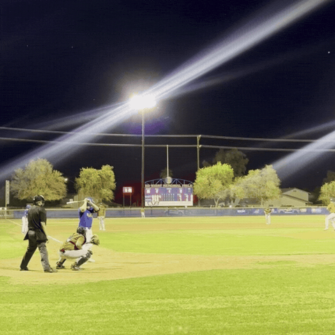 Brawleyunion GIF by brawleywildcat