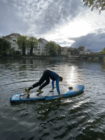 NeckarSUP GIF