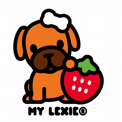 Boxer Dog GIF