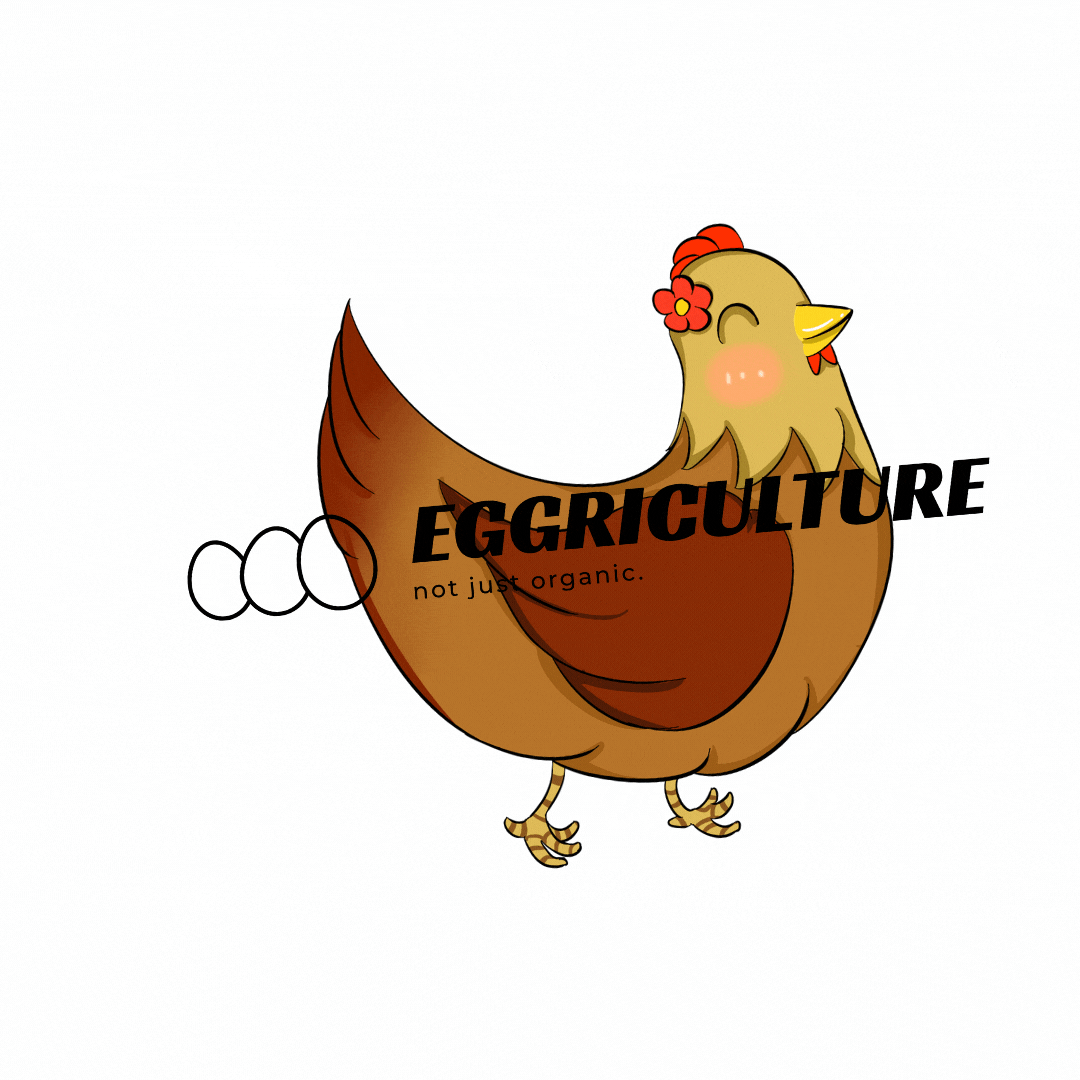 eggriculture egg eggs eggriculture best eggs GIF
