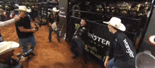 Pbr GIF