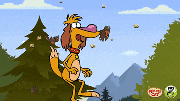 flying nature cat GIF by PBS KIDS