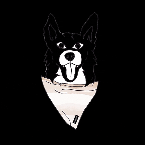 Dog Hund GIF by ZOECA jewelry