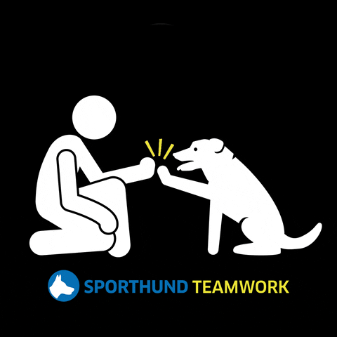 Art Love GIF by Sporthund