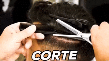 Corte Gaspi GIF