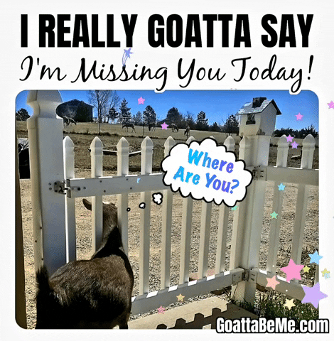 Missing U I Miss You GIF by Goatta Be Me Goats! Adventures of Pumpkin, Cookie and Java!