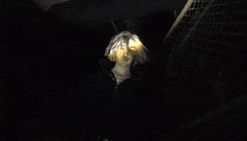 Yuma GIF by JEWELS