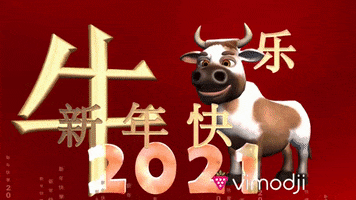 Happy Chinese New Year Gong Xi Fa Cai GIF by Vimodji