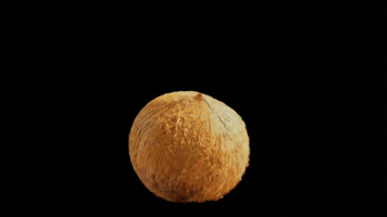Flavor Coconuts GIF by Buchanan's Scotch Whisky