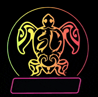 Soulcraft Wake Surf GIF