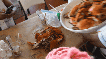 Blue Crab Party GIF by The Crab Place
